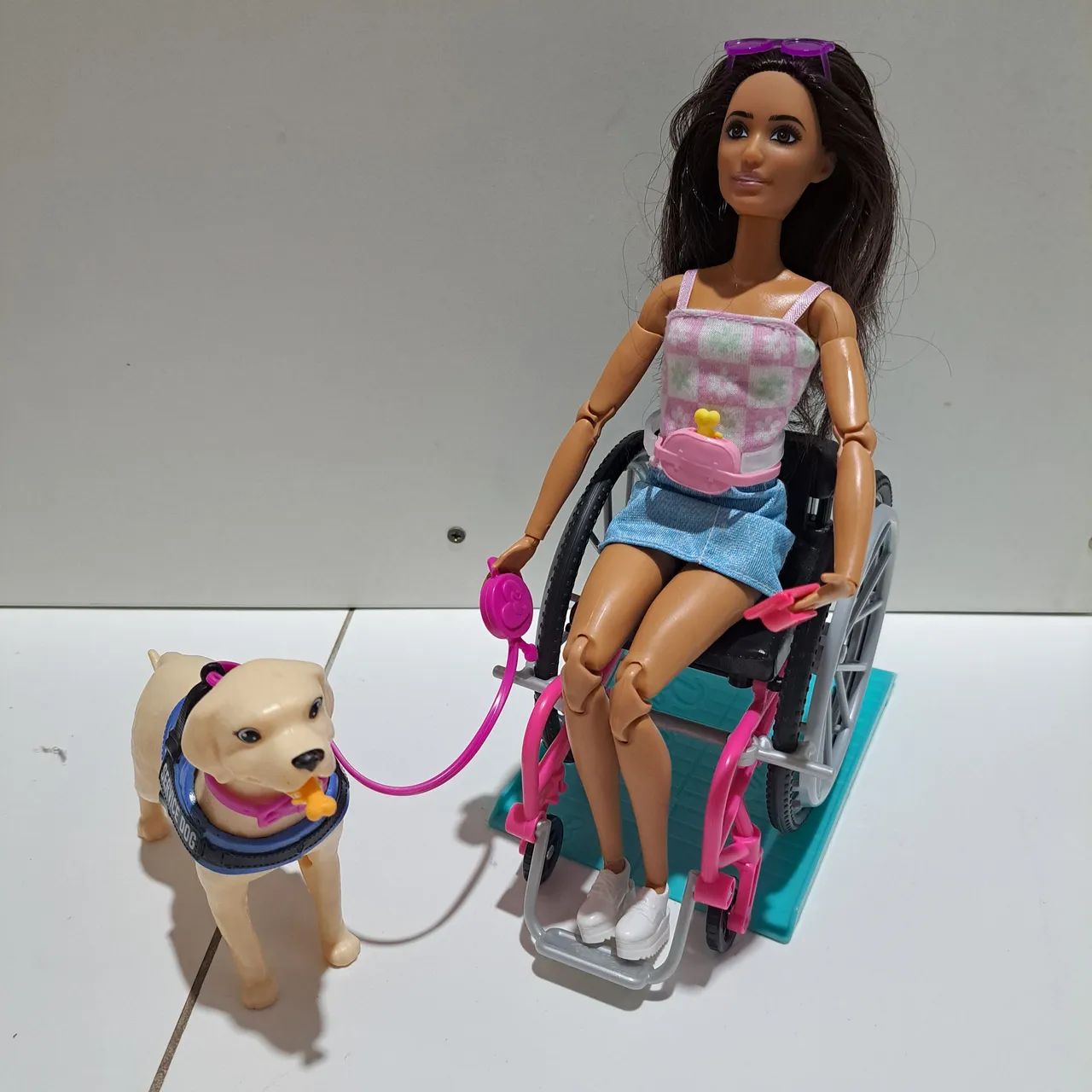 Barbie Brunette Cadeirante com Cão Guia Completa