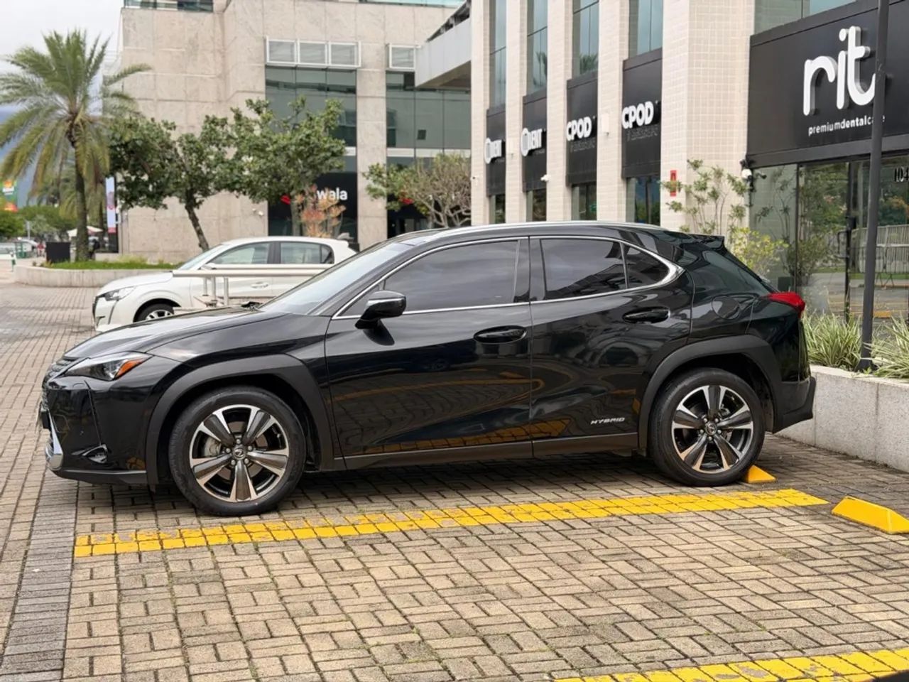 Lexus UX-250h Luxury 2.0 16V Aut.(hybrid), foto 4 de 20