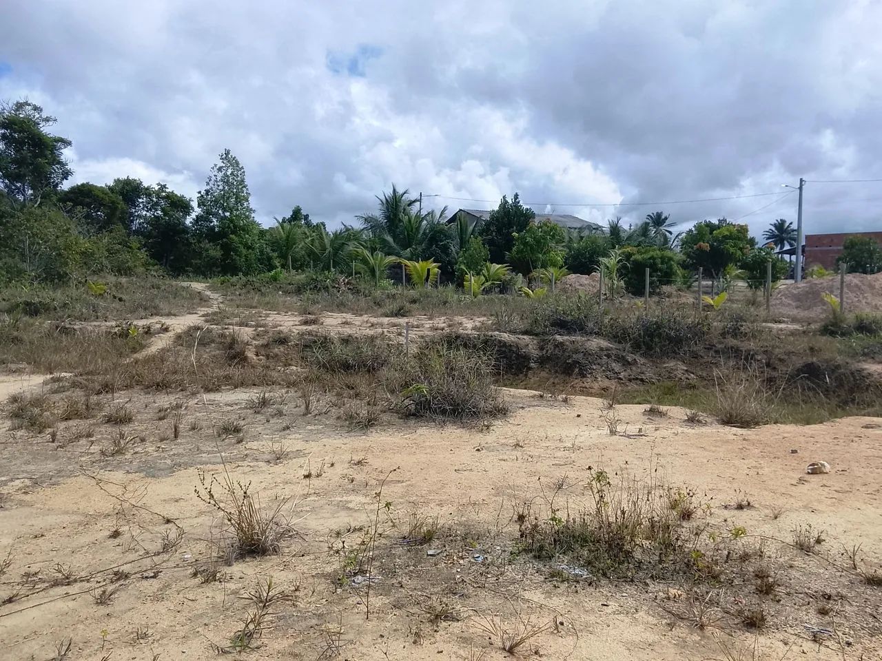 Terreno  - Foto 4