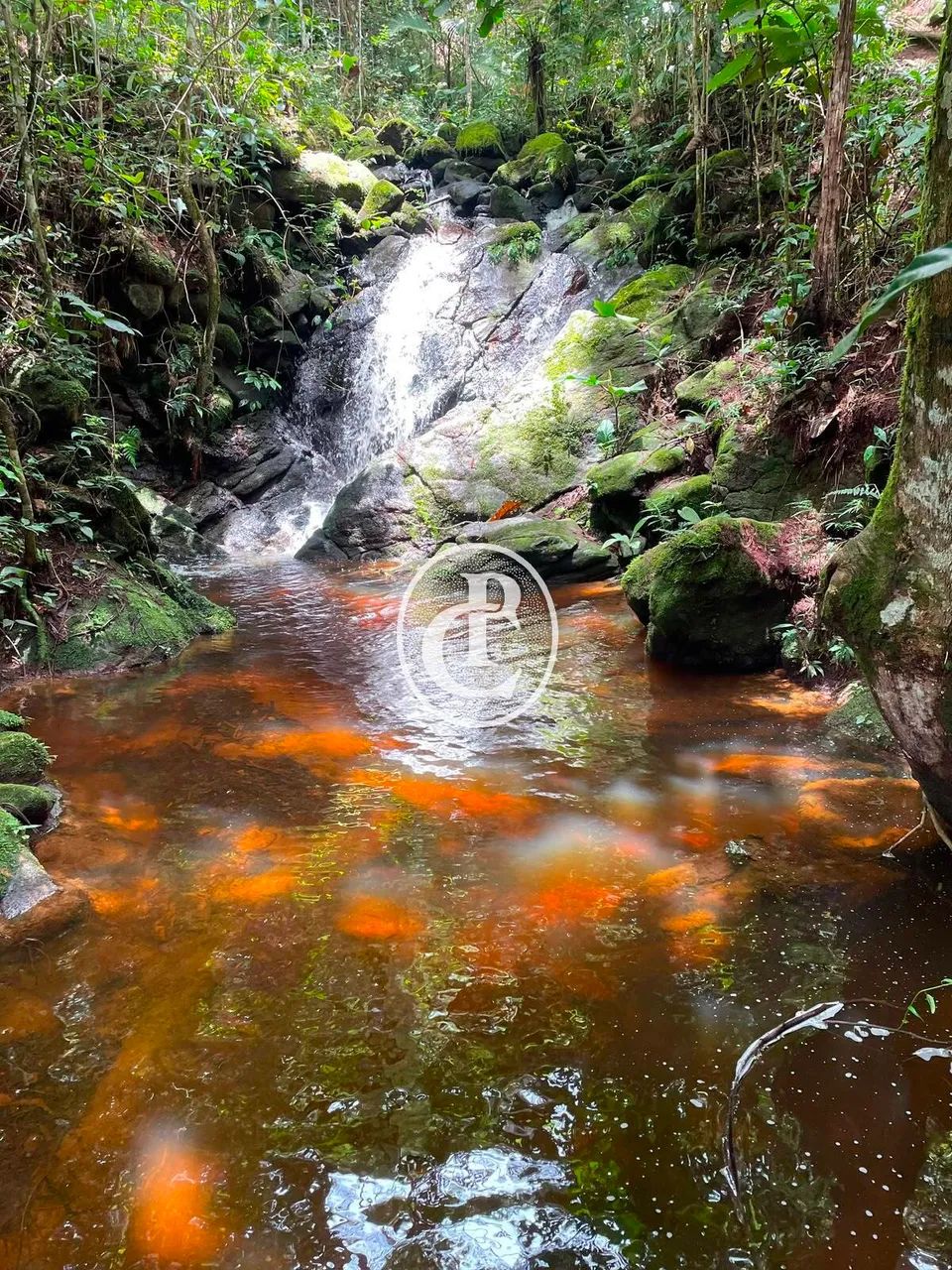 Chácara com cachoeira!!! - Foto 4