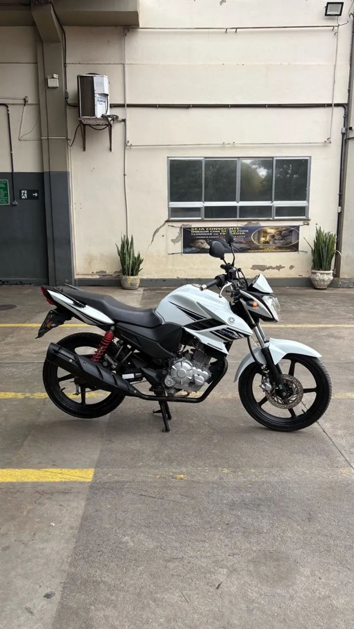 Oportunidade  - Foto 4