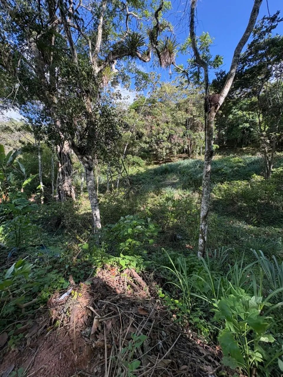 OPORTUNIDADE! VENDE-SE GLEBAS PARCELADO EM GUARARAMIRANGA - Foto 3
