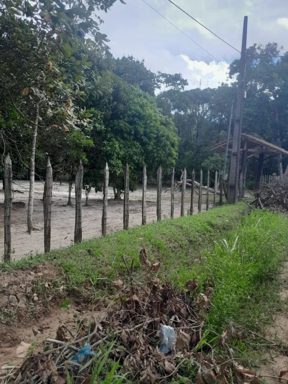 vsndo sitio - Foto 3