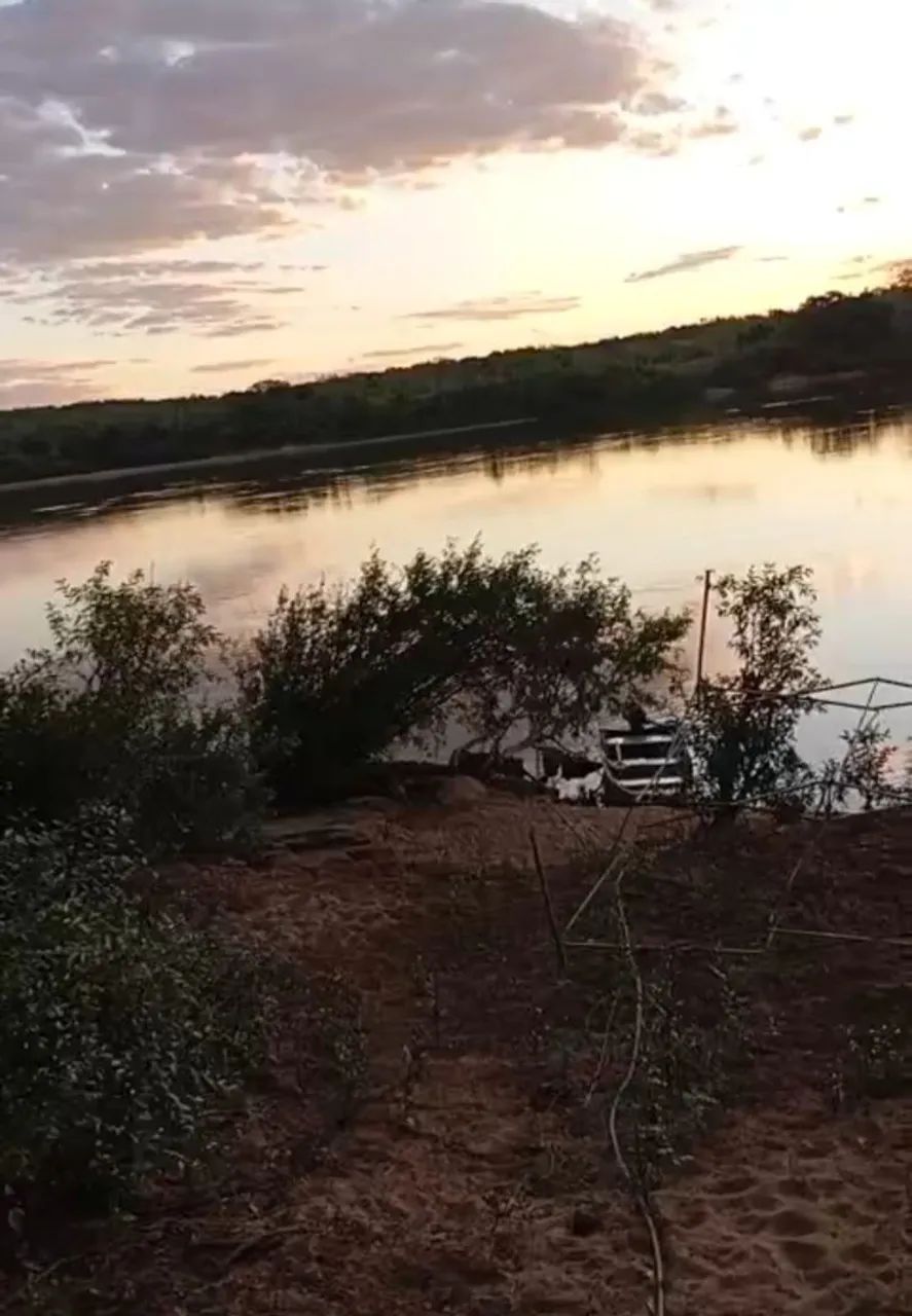 Vendo 2.5 alqueires na beira do rio Tocantins  - Foto 4