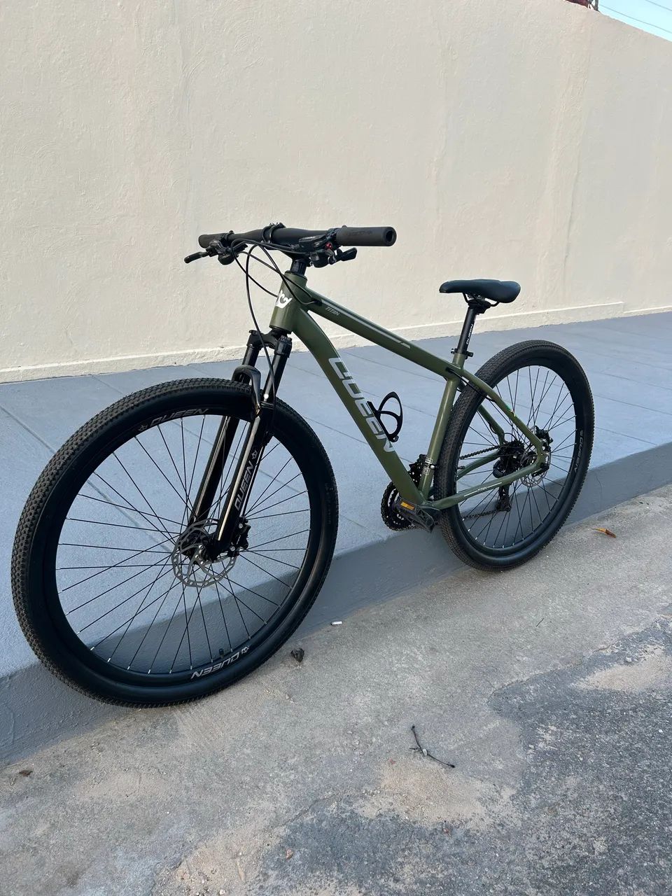 Bicicleta Queen Aro 29 