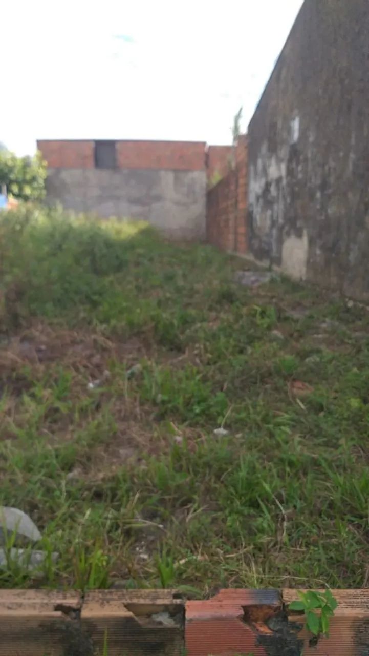 Vende-se terreno na piabeta  - Foto 3