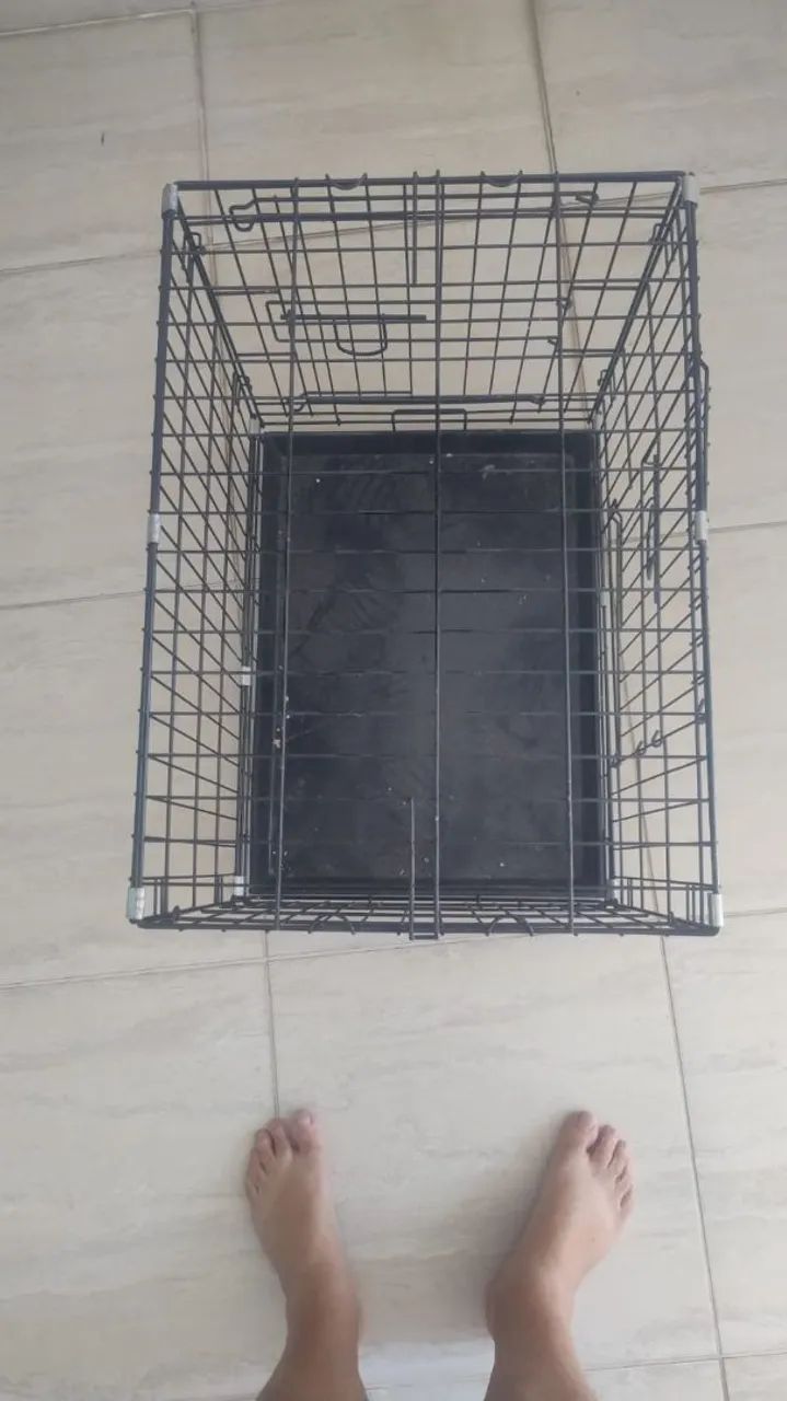 Caixa transporte para pet - Foto 4