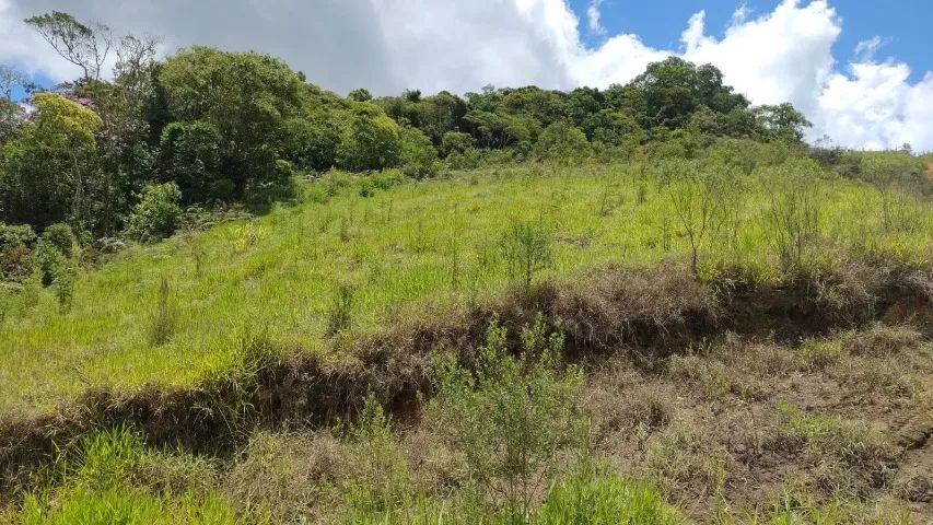 Foto - São Paulo - Vila Taquari