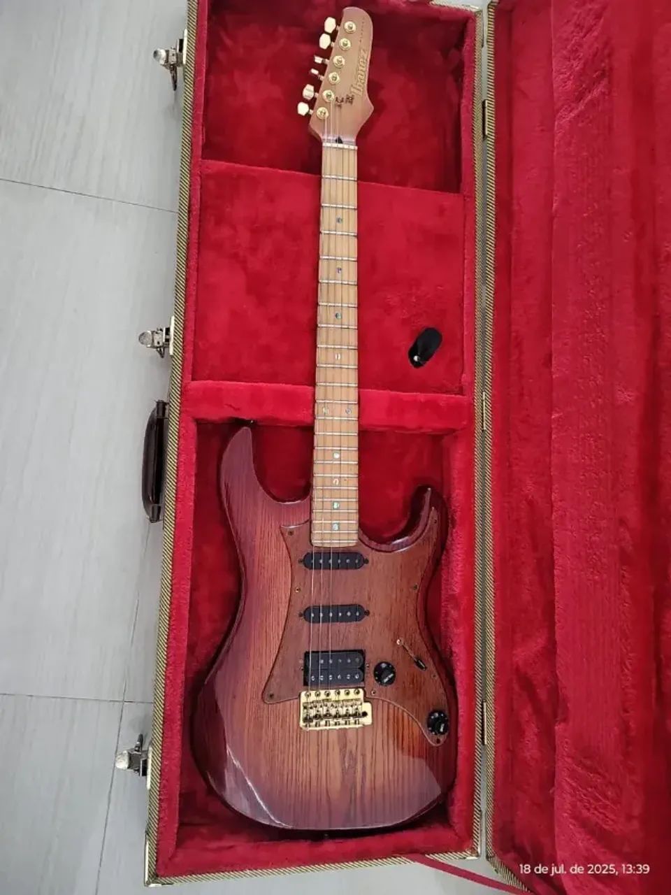 Ibanez japonesa - Foto 2