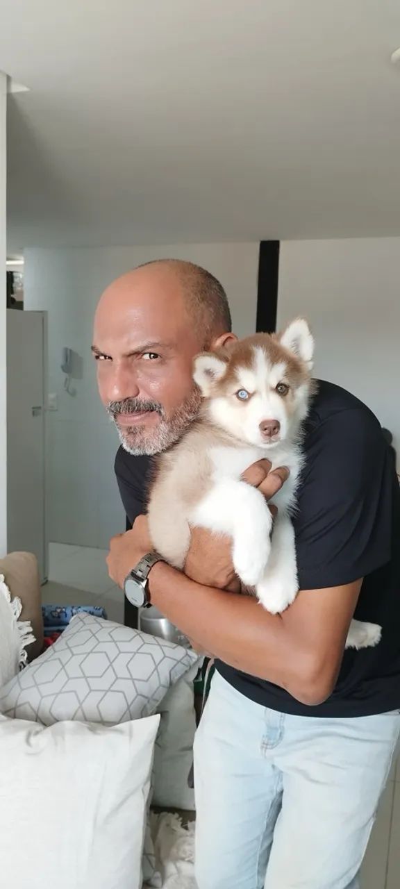 Adestramento de cachorros em João Pessoa - Foto 5