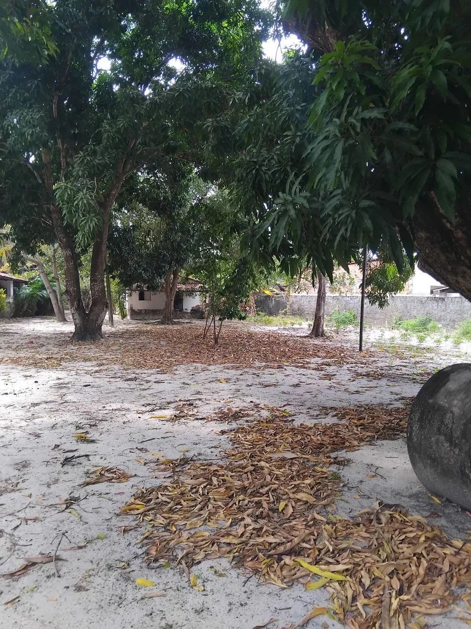 Sitio/Terreno  - Foto 5
