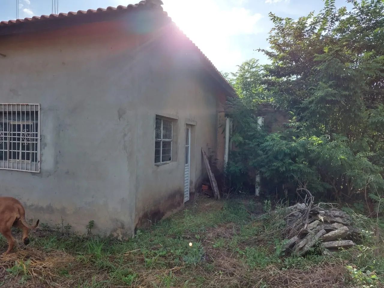 Chácara  - Foto 2