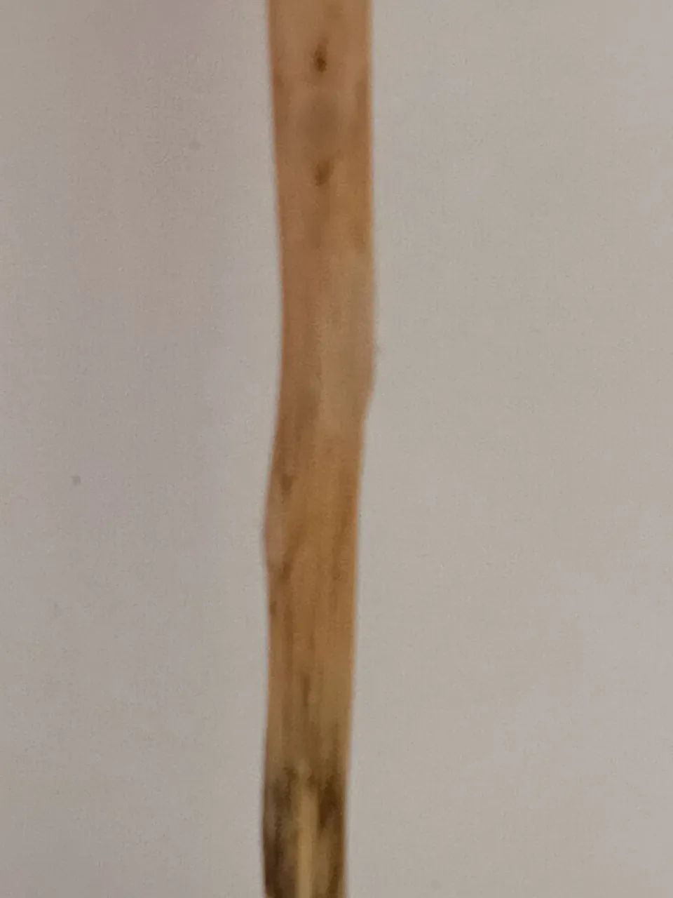 Vassoura  - Foto 3