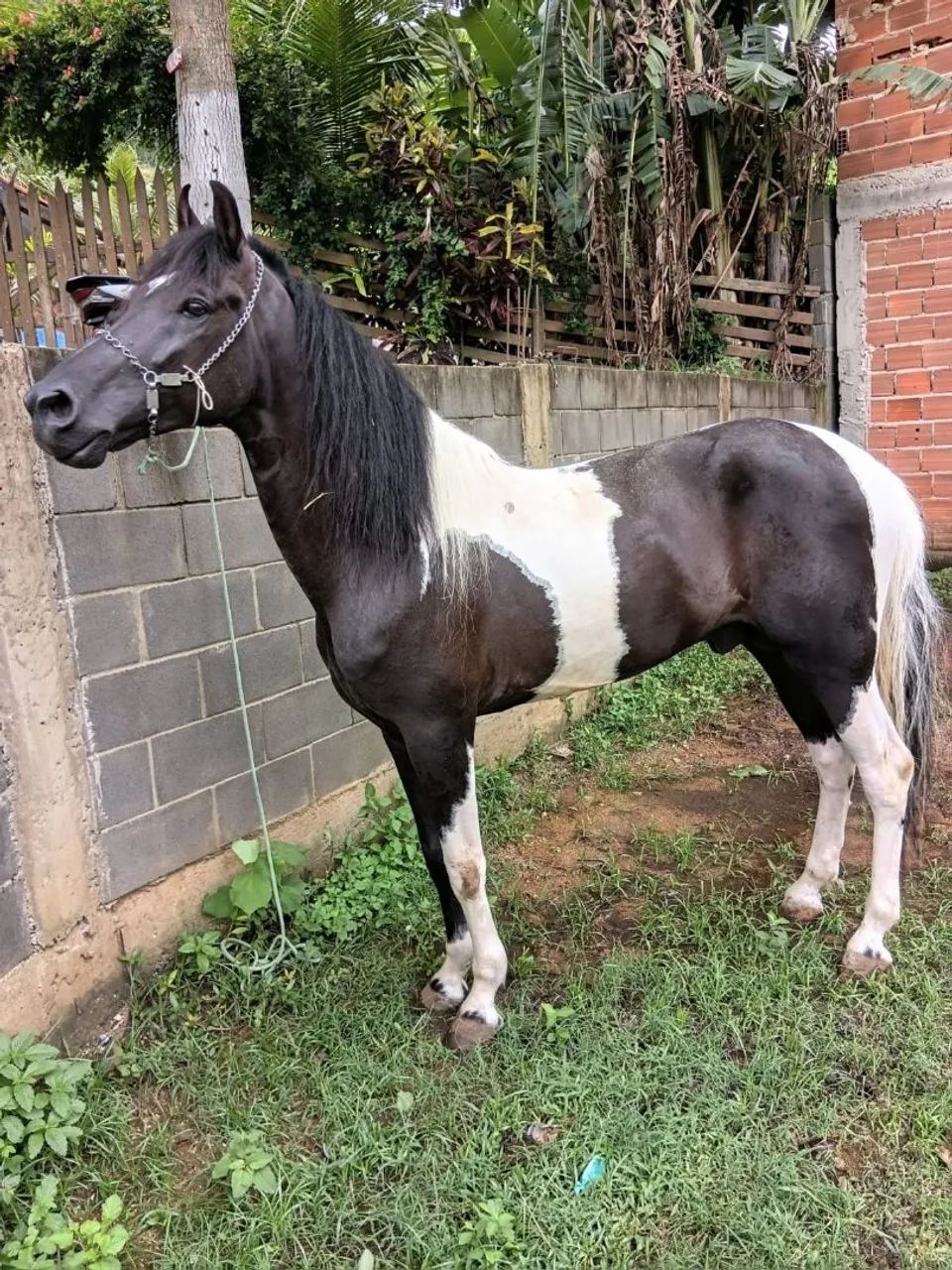 Pra vender, somente venda... - Foto 5