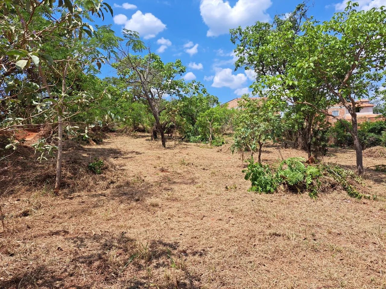 Chácara com vista para serra (Oportunidade) - Foto 5
