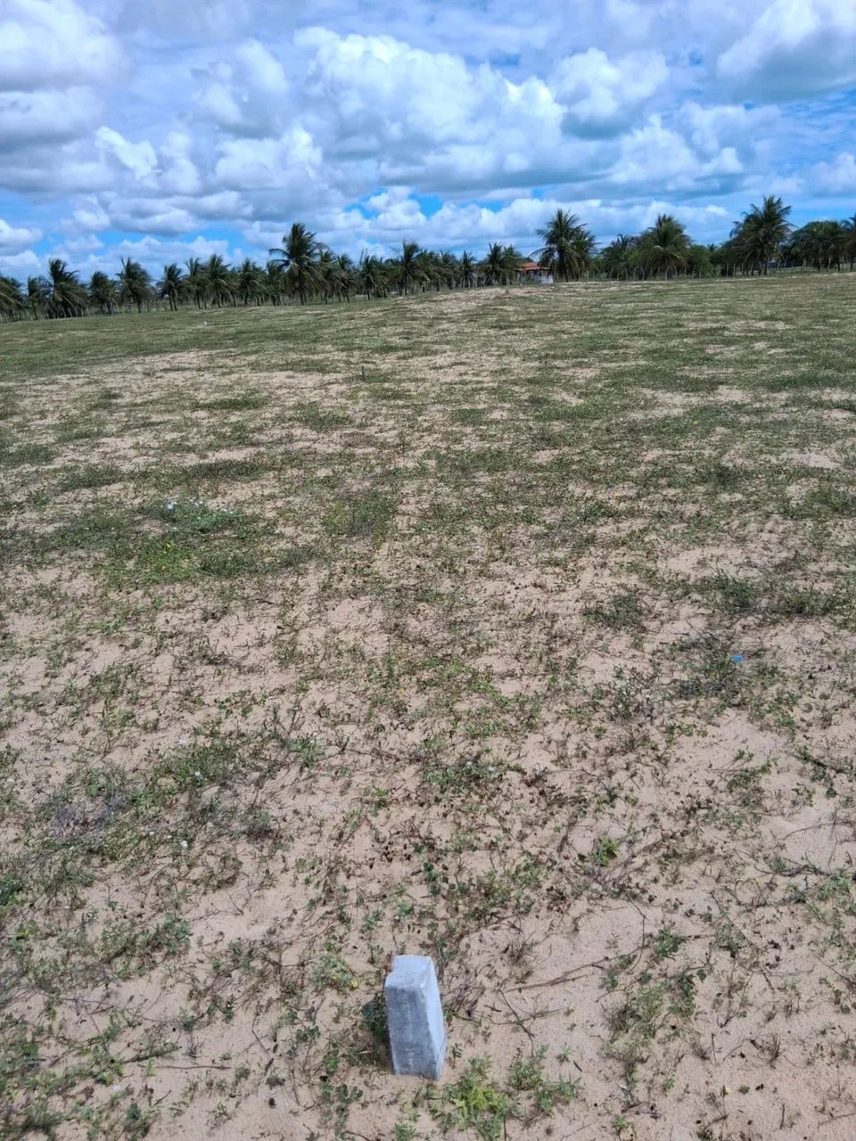 Vendo terreno próximo à praia de caiçara do norte  - Foto 4