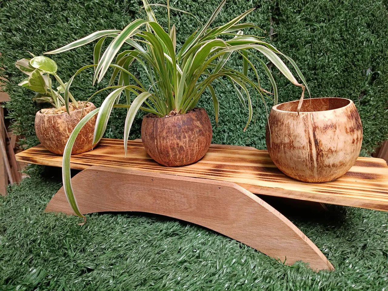 Lindo suporte para plantas modelo 3 coquinhos.