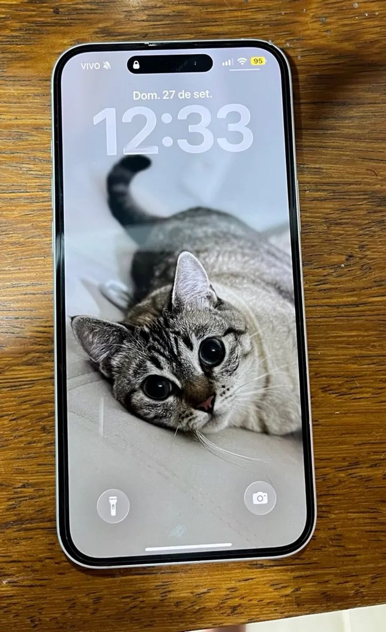 iPhone 16 Plus 256gb novíssimo 