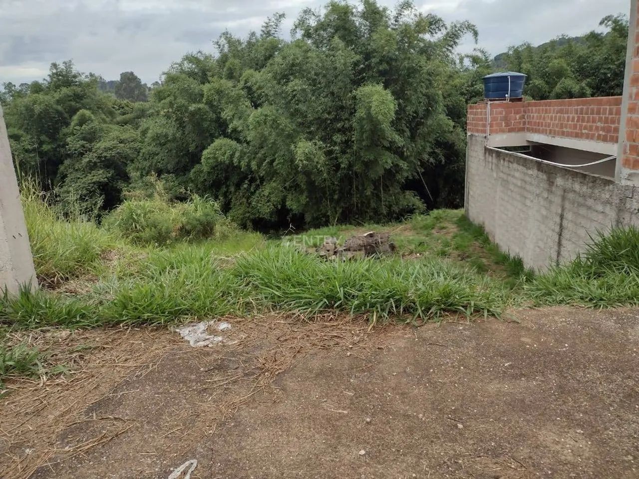EXCELENTE TERRENO VARZEA PTA - Foto 5
