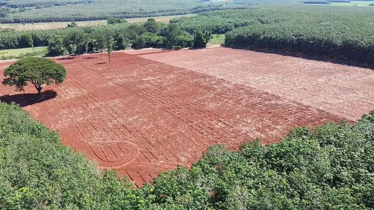 Chácara Balsamo - Foto 3