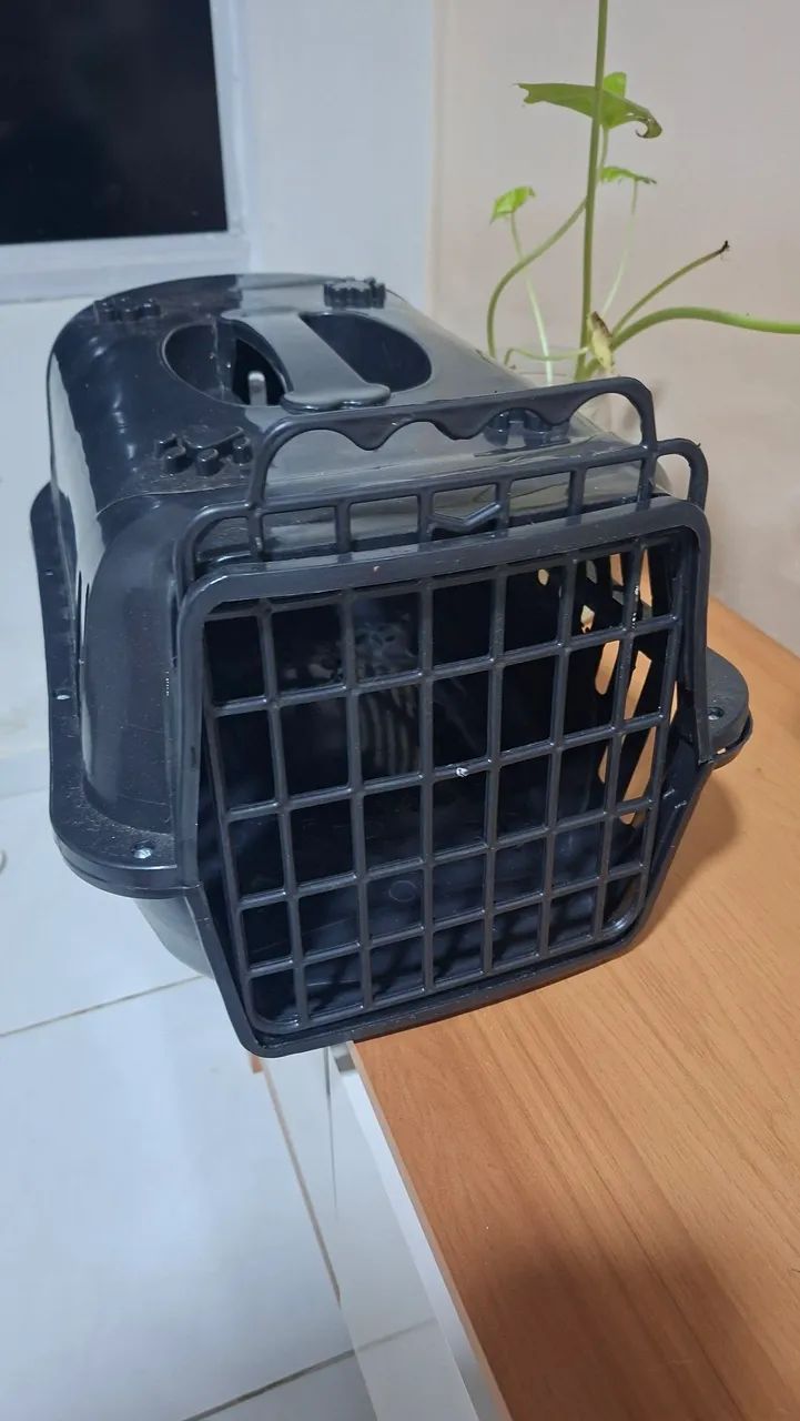 Caixa para transporte de animais  - Foto 2