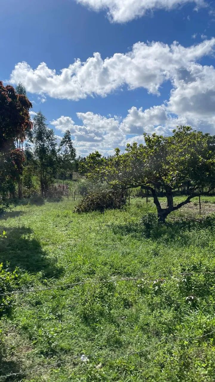 Foto - Aracaju - Lamarão