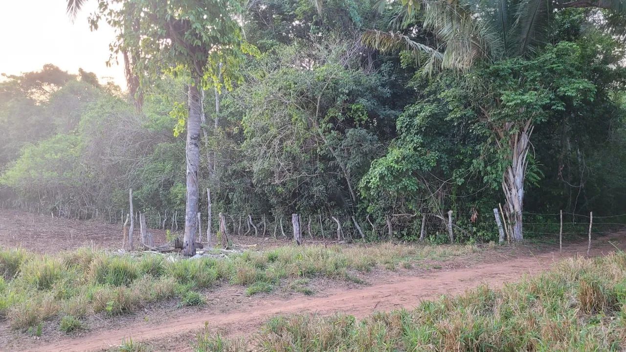 Grande Fazenda à Venda - Ideal para Agricultura e Pecuária - Foto 12