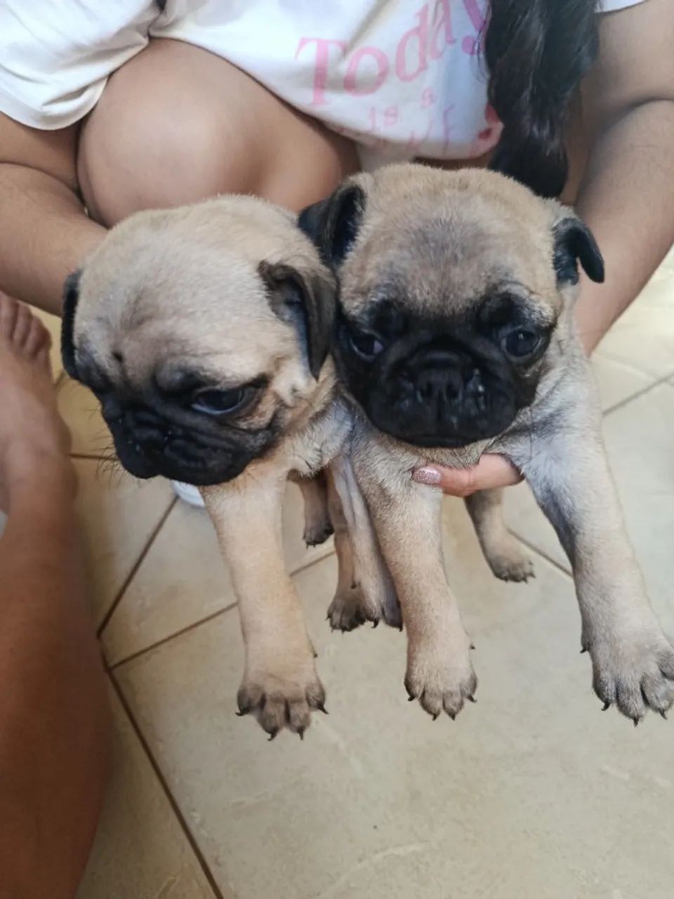 pet - Foto 3