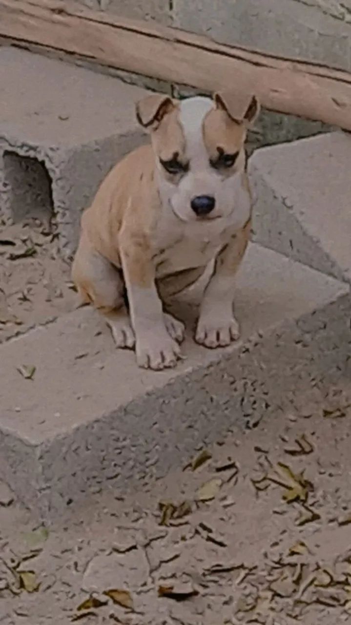 Doação consciente  - Foto 2