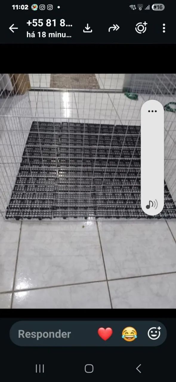 Pallets Novos para piso de Canil  - Foto 2