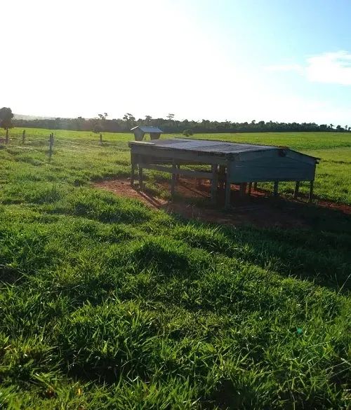 PECUÁRIA - Área Rural 52 Alqueires - Foto 5