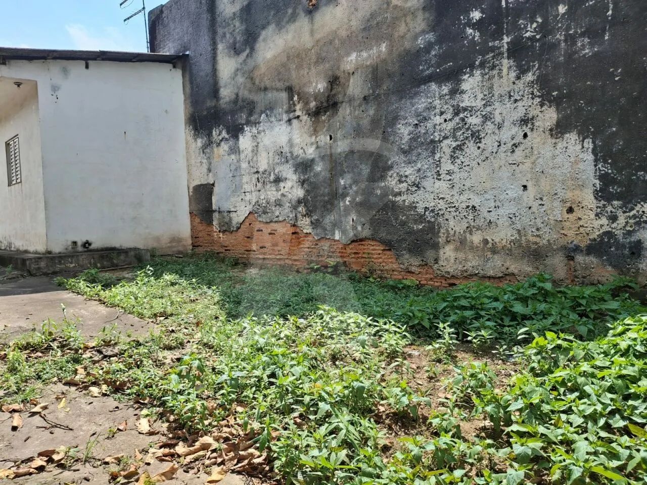 Terreno na Vila Constança ! - Foto 2