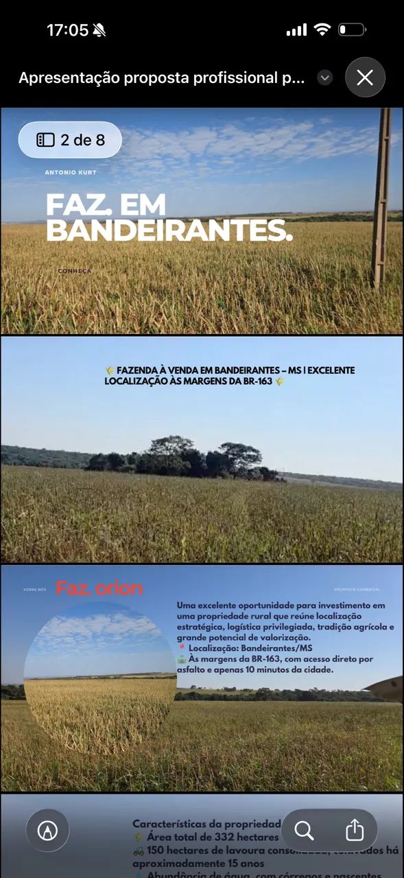Faz em Bandeirantes  BR 163 Soja 