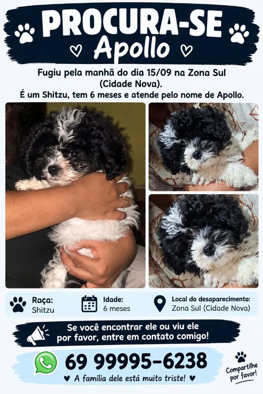 Procura-se cachorro perdido - Foto 2