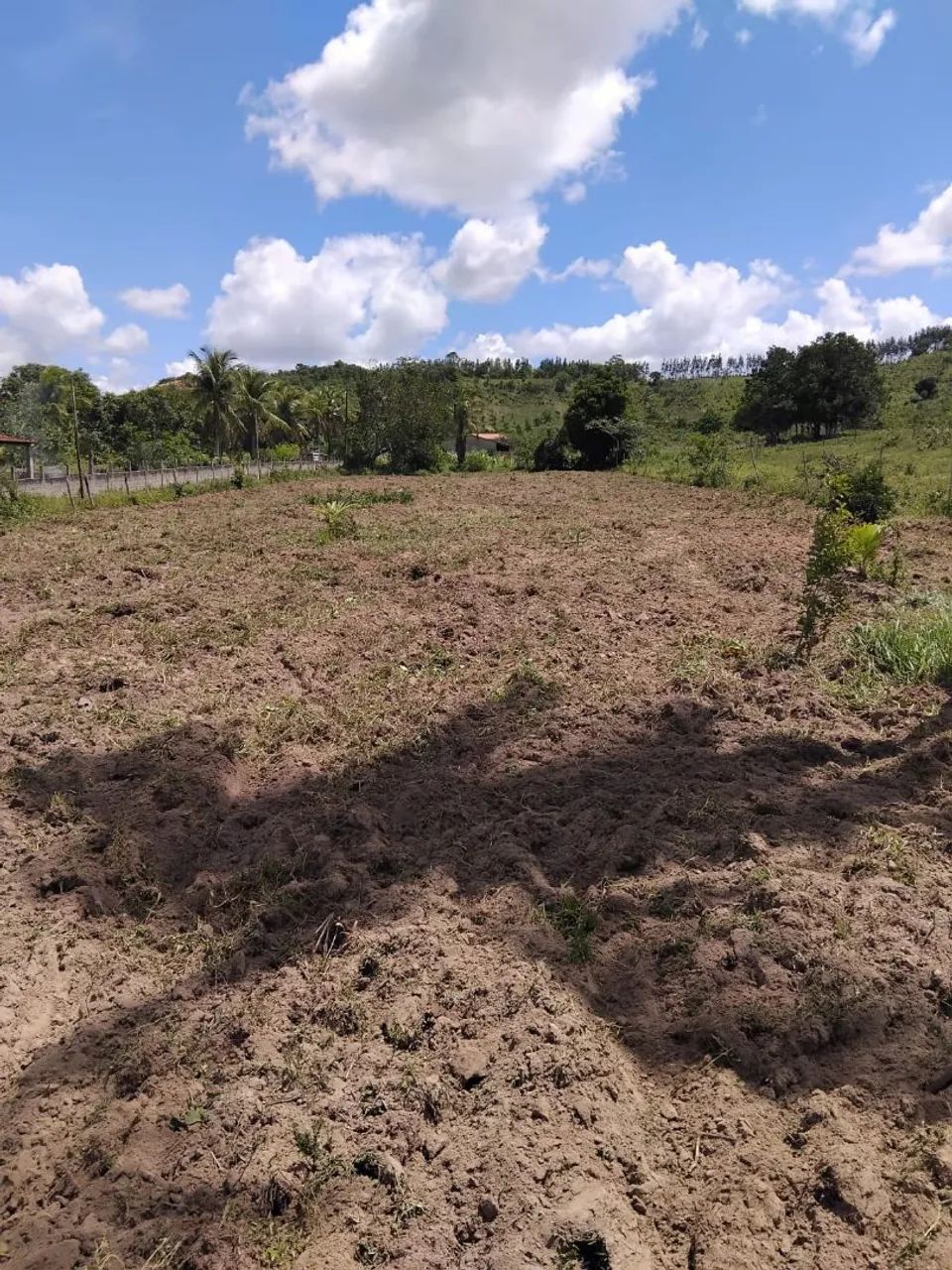 Terreno em Povoado Lagoão, Salgado em Sergipe  - Foto 3