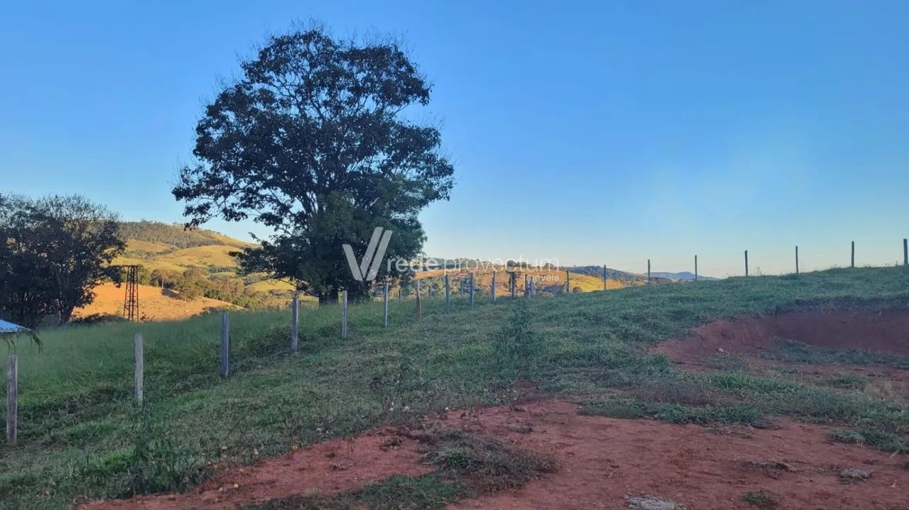 área - Fortaleza - Jacutinga - Foto 2