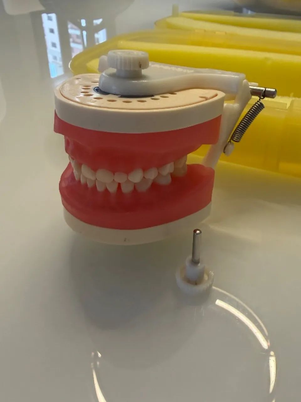 Manequins Odontológicos (Endodontia, Pediatria, Periodontia e Dentística) marca Dent-Art. - Foto 5