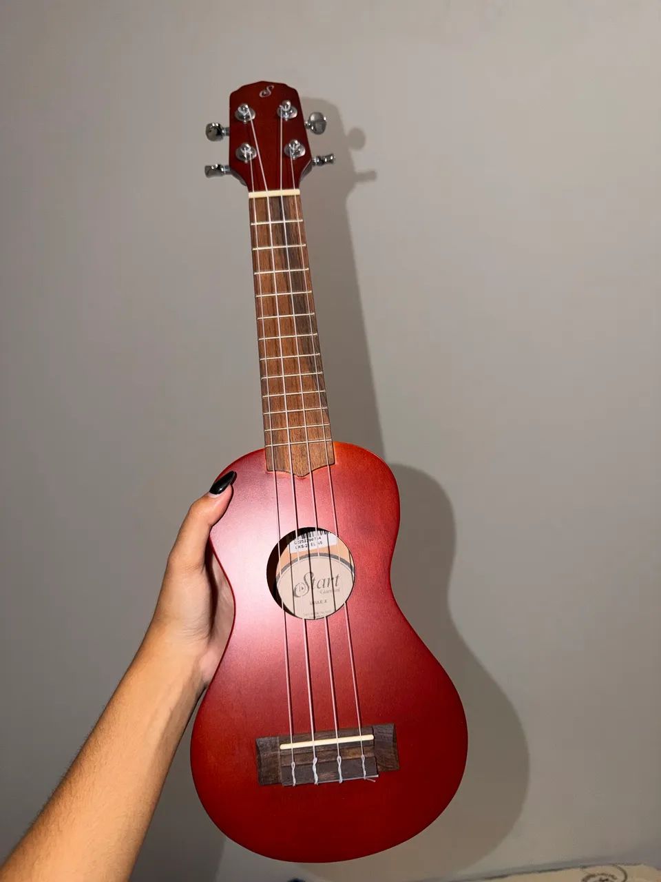 Ukulele Giannini Start + capa e acessórios - Foto 2