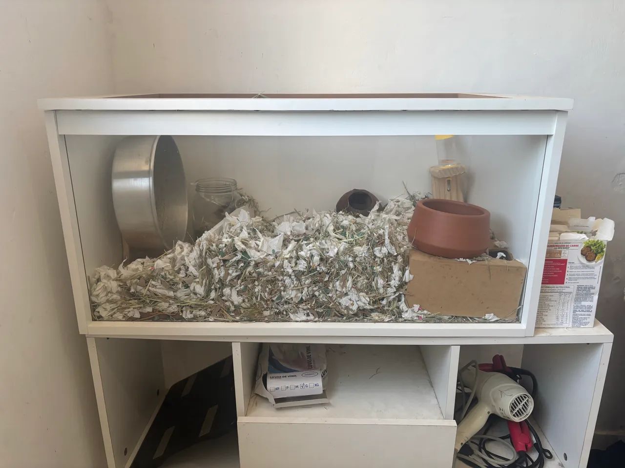 Terrário Hamster e Roedores 4 meses de uso com tudo incluso