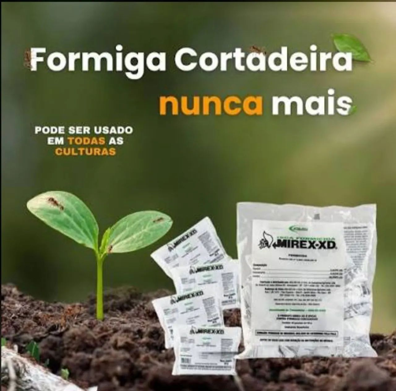 Formicida MIREX-XD - Benefícios e Instruções de Uso - Foto 2