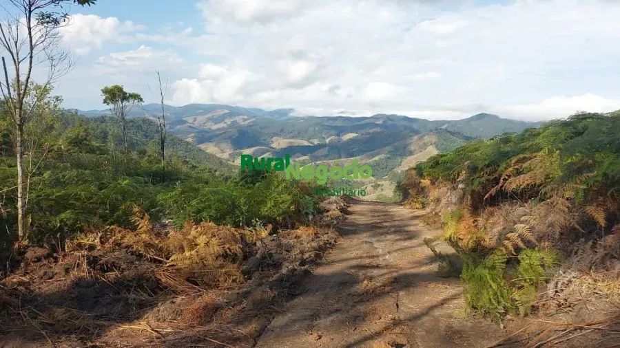 TERRENO PARA FORMAR CHÁCARAS EM SÃO LUIZ DO PARAITINGA-SP - Foto 4