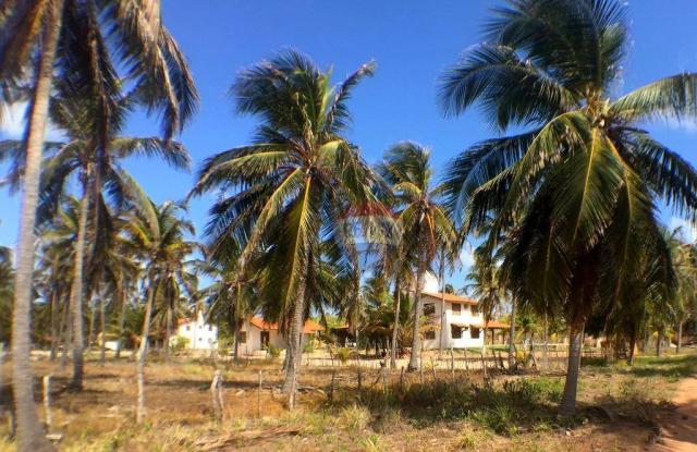 Casa residencial à venda, Centro, Trairi. - Foto 3