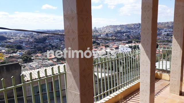 Casa à venda com 5 dormitórios em Novo glória, Belo horizonte cod:766818 - Foto 4