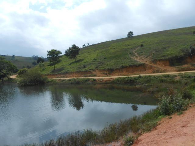 Fazenda de pecuária - Foto 13