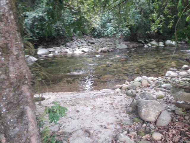 Jordão Corretores - Terreno ecológico Guapiaçu - Foto 3