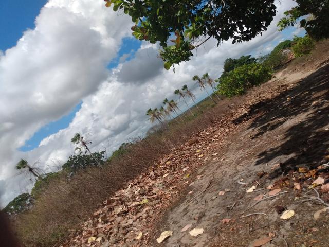 Terreno de 58 hactares com casa - Foto 12