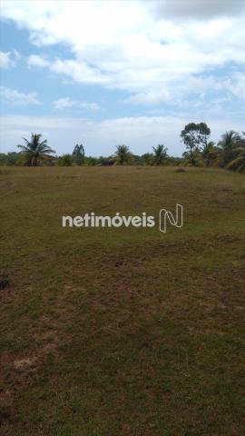 Sítio à venda em Arembepe, Camaçari cod:783794 - Foto 9