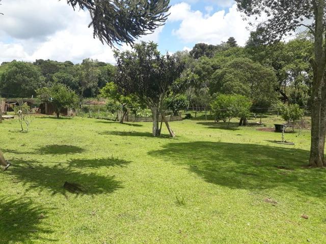 Linda Chácara 24.200 m2 ( 1 Alqueire) com 2 Casas - Palmas PR - Foto 2