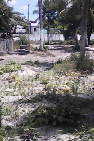 Vende-se uma chácara 1.800.000.00 - Foto 11