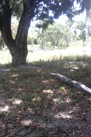 Vende-se uma chácara 1.800.000.00 - Foto 2